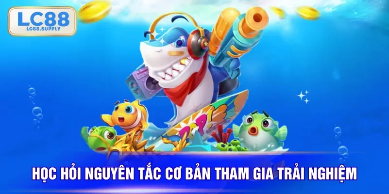 Học hỏi nguyên tắc cơ bản tham gia trải nghiệm